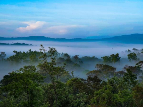 Jade Hills Coorg